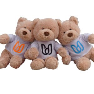 Osito De Peluche Mundo Universitario